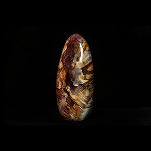 Bois fossile forme libre
